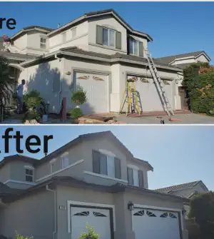 Our Work