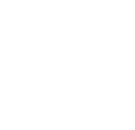 ilustration shape