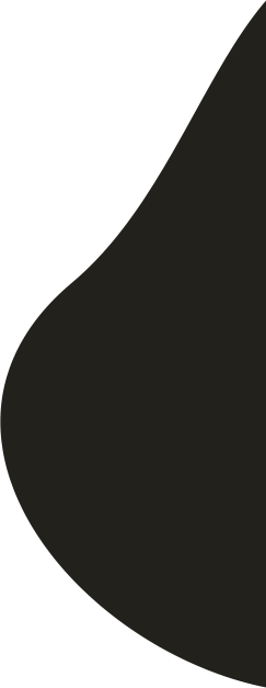 ilustration shape