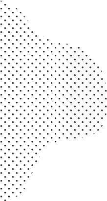 ilustration shape